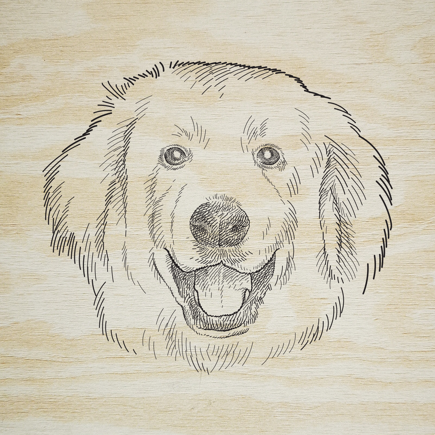 STICKER LABRADOR