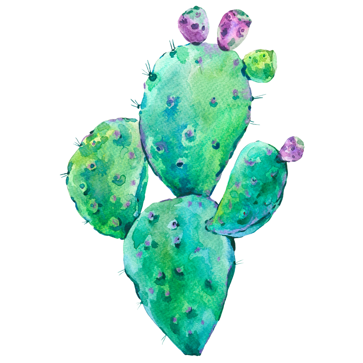 STICKER CACTUS ACUARELA 1
