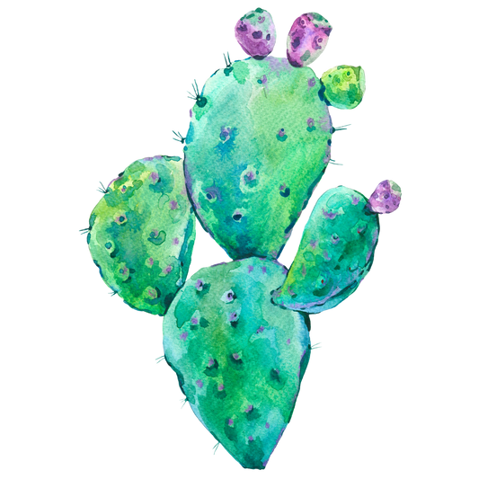 STICKER CACTUS ACUARELA 1