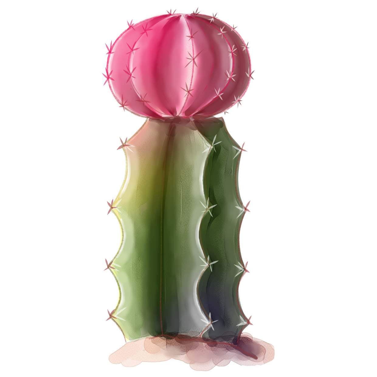 STICKER CACTUS ACUARELA 2