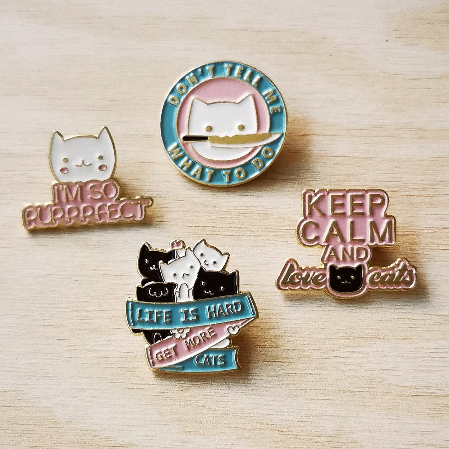 PIN MENSAJES GATOS