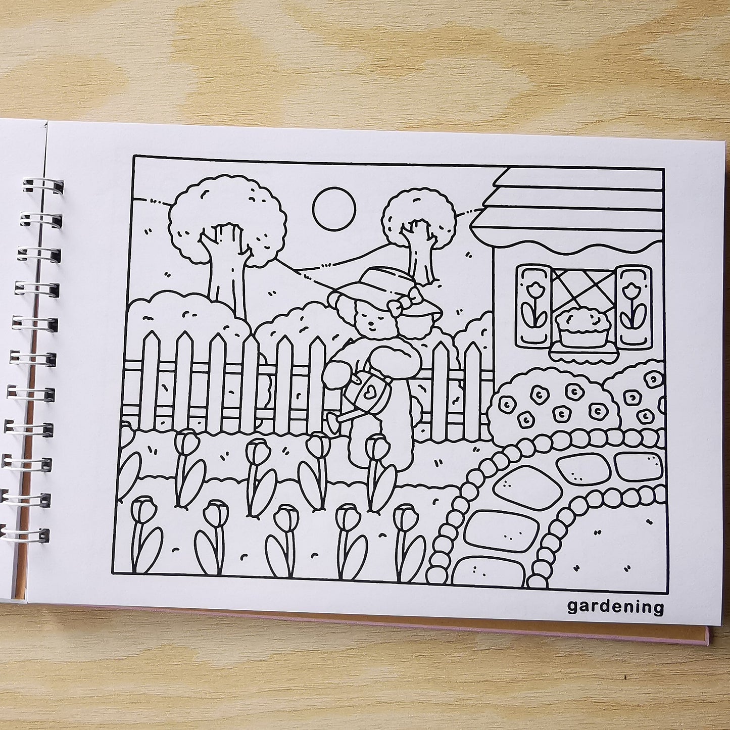 LIBRO POM POM