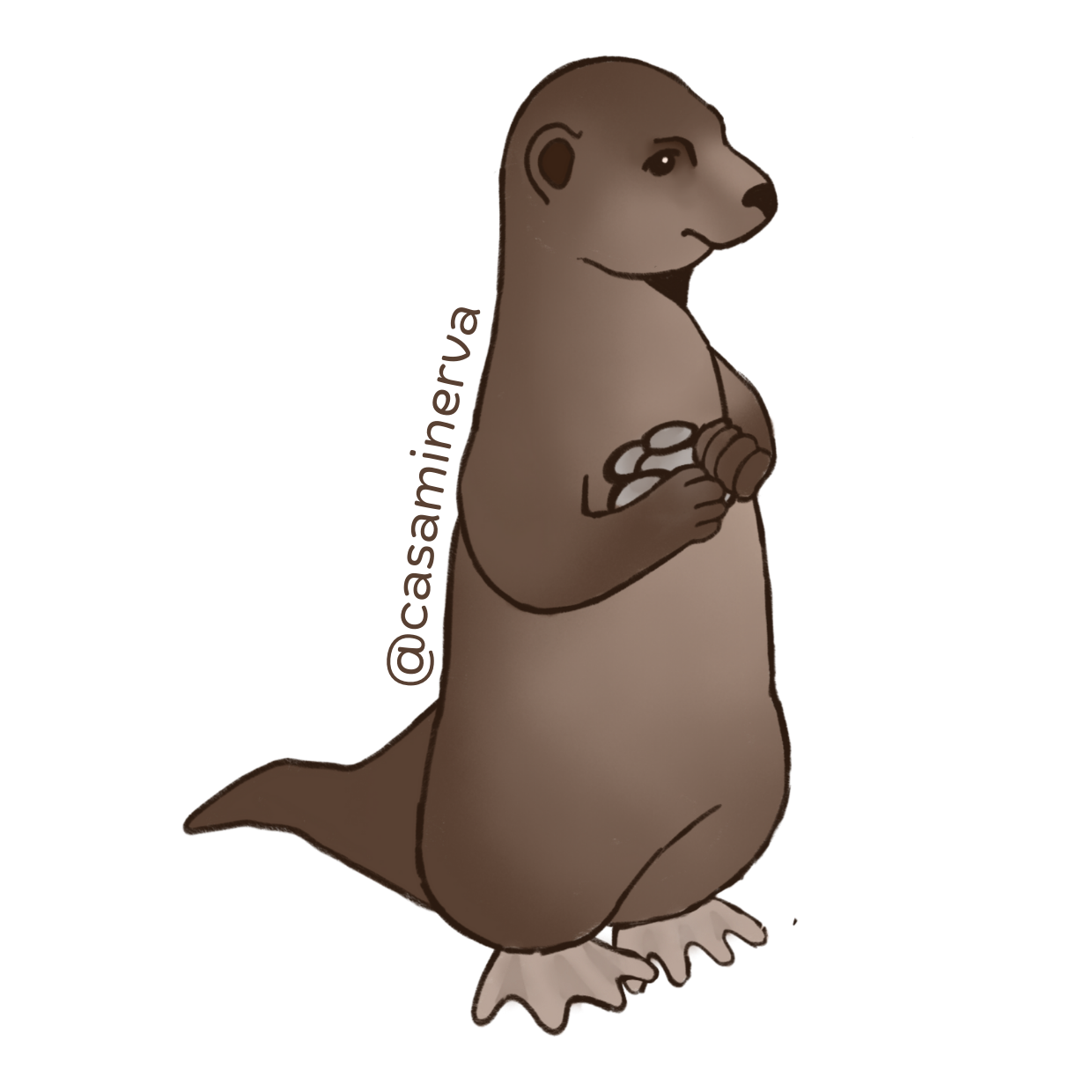 ESTUCHE CRUDO NUTRIA