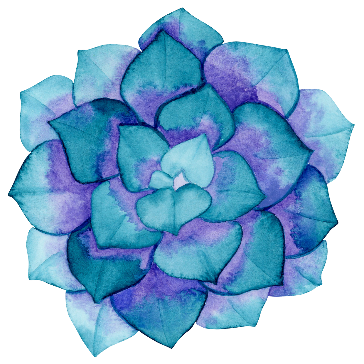 STICKER SUCULENTA ACUARELA